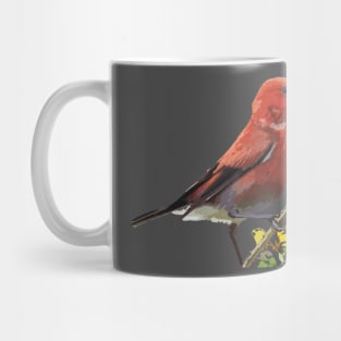 ‘Apapane, a Hawaiian Honeycreeper Mug